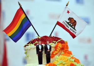 Prop 8 gay marriage california cake